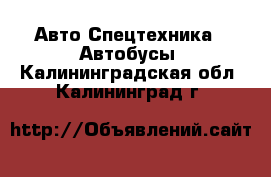 Авто Спецтехника - Автобусы. Калининградская обл.,Калининград г.